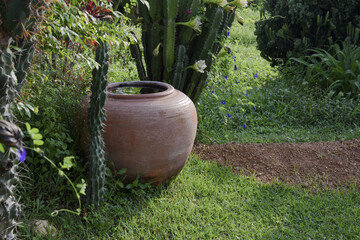 Obraz premium Jar in garden.