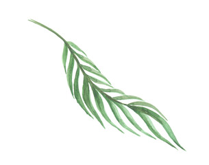 Bright watercolor leaf isolated on white background