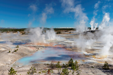 Great view of Norris Geyser Basin in morning light. Popular tourist attraction in Yellowstone.