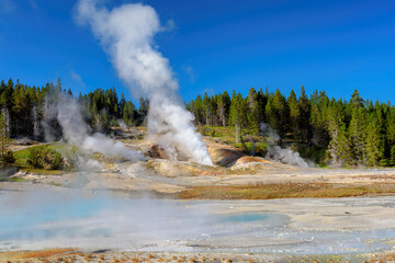 View of Norris Geyser Basin in morning light. Popular tourist attraction in Yellowstone National Park.