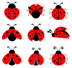ladybugs icon
