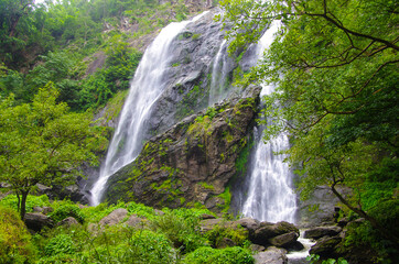 Fototapeta premium KHLONG LAN, THAILAND - August, 2016: Jungle landscape with flowing water of Khlong Lan waterfall in Kamphaeng Phet province at deep tropical rain forest. Khlong Lan National Park, Thailand