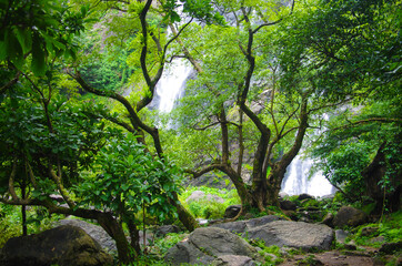 KHLONG LAN, THAILAND - August, 2016:  Jungle landscape with flowing water of Khlong Lan waterfall in Kamphaeng Phet province at deep tropical rain forest. Khlong Lan National Park, Thailand