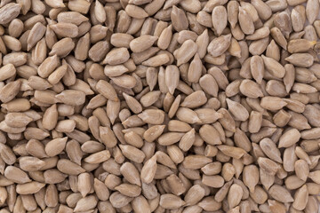 Texture of sunflower seeds
