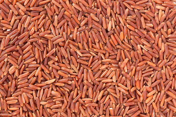 Texture of wild red rice