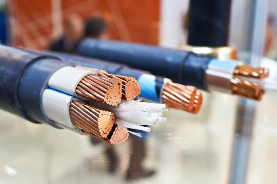 Large copper power cable in section