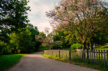 going in the park