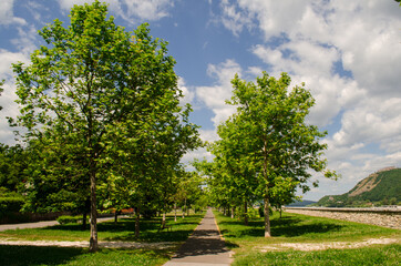 sightseeing in the city