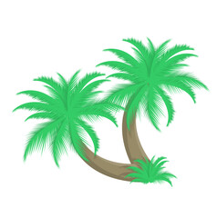 Two palm trees vector illustration