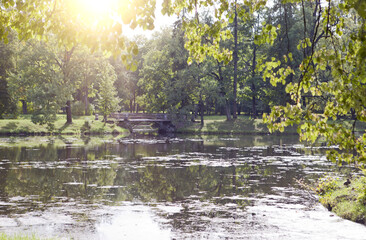 the bridge over the pond overgrown with a duckweed. Catherine Park. Pushkin (Tsarskoye Selo)....