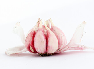 fresh planted young garlic cloves