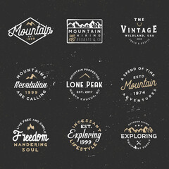 Minimal retro badges, vintage labels for branding projects