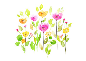 watercolor flowers on white background
