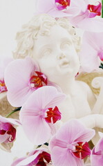 ange et orchidée,au cimetière,décès d'enfant