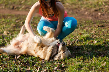 Woman stroking belly of labrador