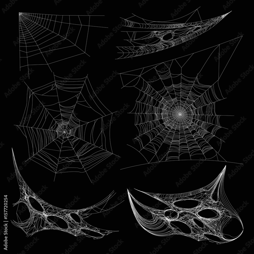 Wall mural spiderweb or spider web cobweb on wall corner vector isolated icons