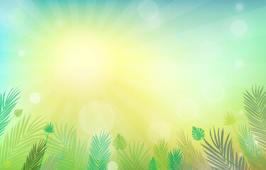 Summer Background Vector Illustration
