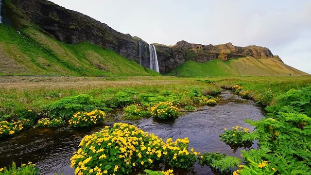 Great waterfall Skogafoss in south of Iceland near the town of Skogar