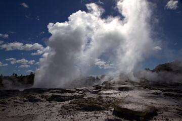 Fototapeta na wymiar Impressive geyser of Pohutu - the main geyser of the Rotorua, New Zealand