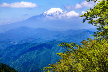 Fototapeta premium 西丹沢から見る富士山