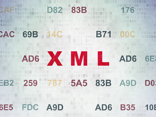 Software concept: Xml on Digital Data Paper background