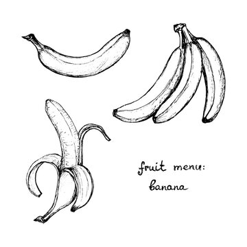 Fruit Menu - Banana - hand-drawn objects
