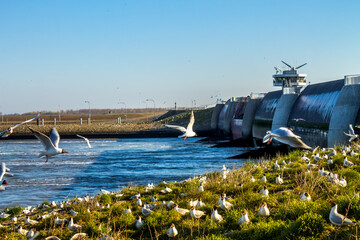 Eidersperrwerk, Wesselburenerkoog, 