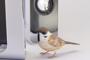 すずめとスピーカー