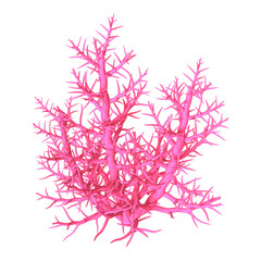 3D Rendering Pink Coral on White © photosvac