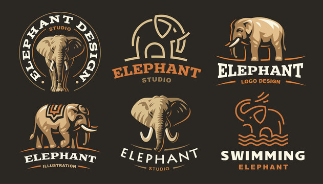 Set elephant logo - vector illustration, emblem design on dark background