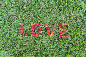 Love word made with strawberries