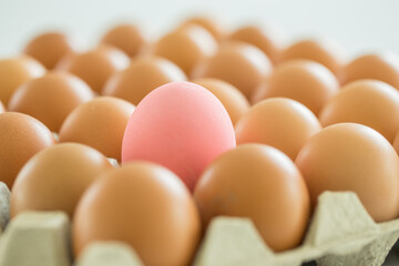 Selective focus on pink egg