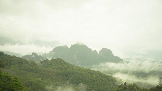 Fototapeta View point forest and fog on the mountain background, Tropical forest in Thailand