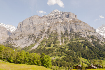 Grindelwald, Dorf, Berner Oberland, Alpen, Schreckhorn, Pfingstegg, Eiger, Wanderweg, Schweizer Berge, Frühling, Sommer, Schweiz