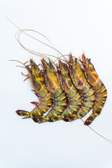 Fresh group of tiger sea shrimp