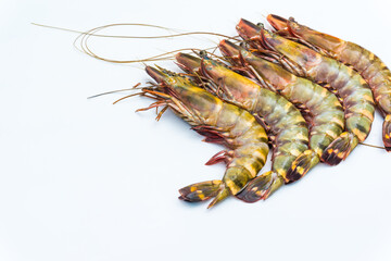 Fresh group of tiger sea shrimp