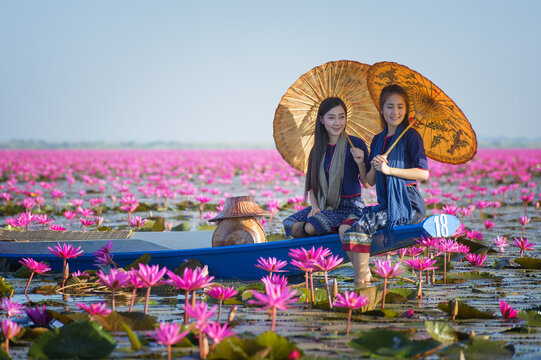 Laos woman in flower lotus lake, Woman wearing traditional Thai people , Red Lotus Sea UdonThani Thailand