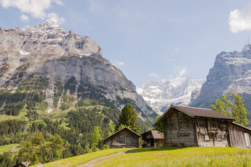 Obraz premium Grindelwald, Dorf, Bergdorf, Eiger, Eigernordwand, Schreckhorn, Grindelwaldgletscher, Alpen, Schweizer Berge, Berner Oberland, Wanderweg, Sommer, Schweiz