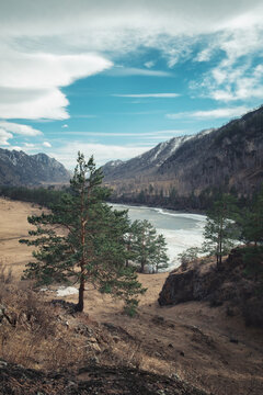 View of the Katun River near the village of Chemal, Altai Mountains, Russia