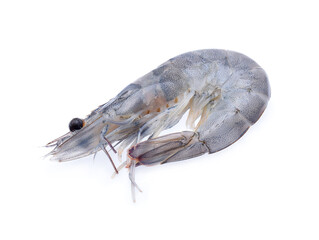 Raw prawns isolated on white background