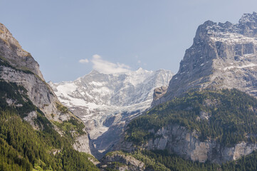 Fototapeta premium Grindelwald, Dorf, Eiger, Eigernordwand, Schreckhorn, Pfingstegg, Gletscher, Alpen, Schweizer Berge, Berner Oberland, Frühling, Sommer, Schweiz