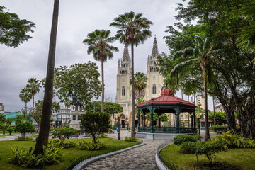 Fototapeta na wymiar Seminario Park (Iguanas Park) and Metropolitan Cathedral - Guayaquil, Ecuador