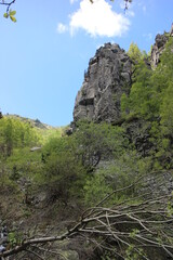 berg sofia bulgarien witoscha vitosha wandern