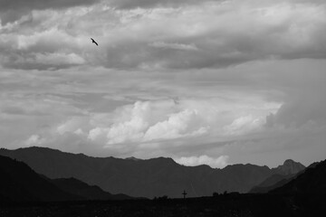 The photo of the landscape looks like a pencil drawing. Pitch Black crows flying over the field.