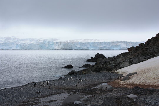 Half Moon Island- Antarktis