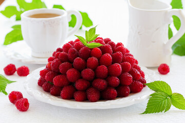 Chocolate raspberry mousse cake 
