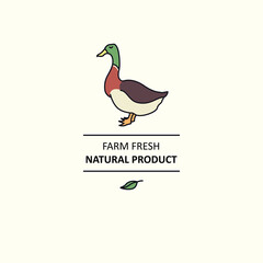 Farm fresh Natural product Line animals set Duck