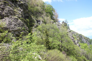 berg sofia bulgarien witoscha vitosha wandern