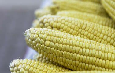 Üst üste dizilmiş mısırlar