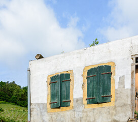 Fenster in alem Haus- grüne Fenster aus Holz